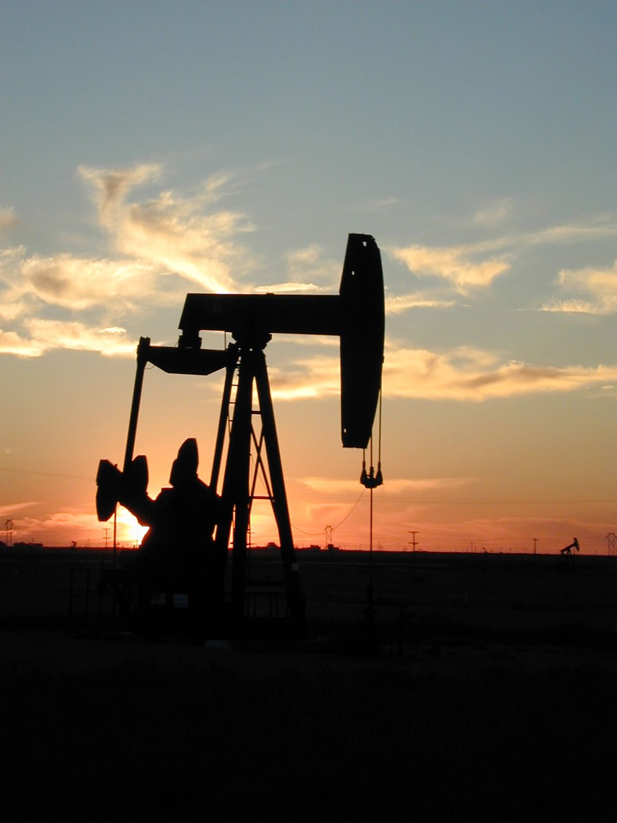 legal documents Texas